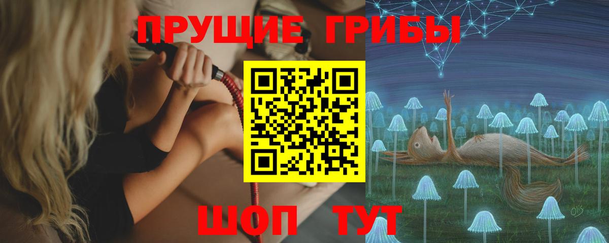 Галлюциногенные грибы MAGIC MUSHROOMS Чайковский